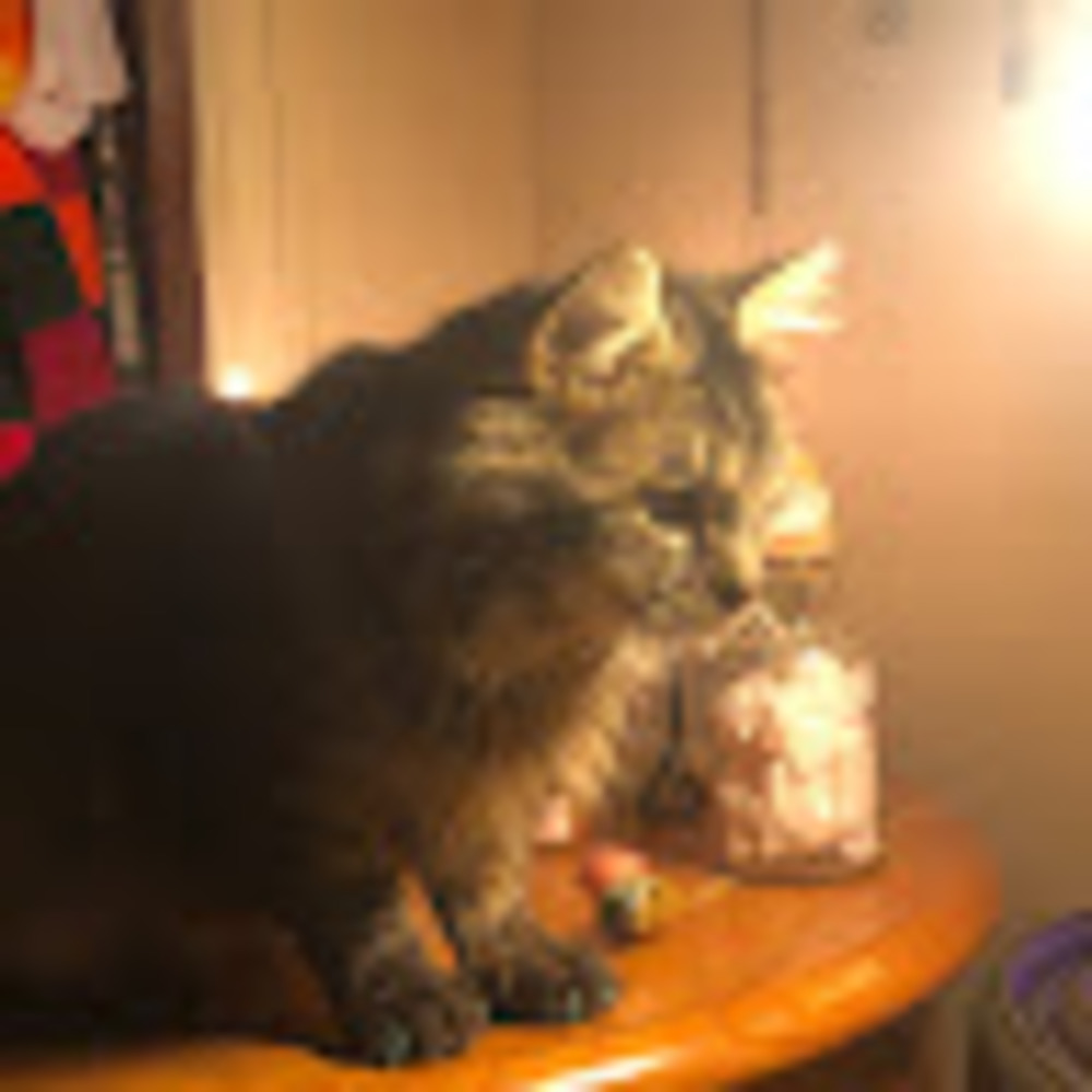 Meet your Posher, Zuza